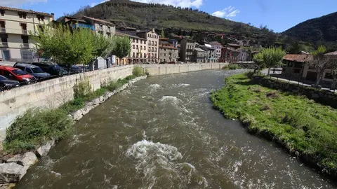 Martinet i el riu Segre