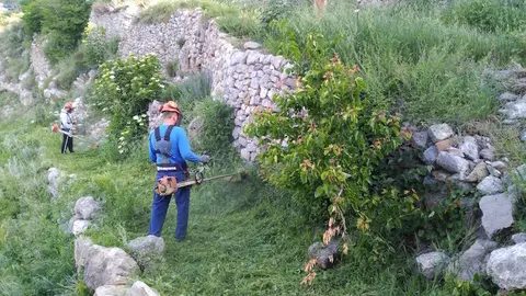 Peracalç