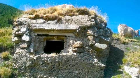 bunker2