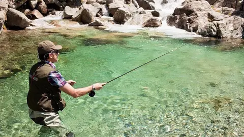 Pesca amb mosca