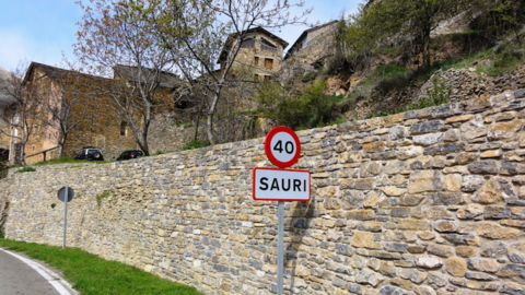 Sauri