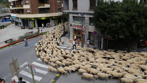 Transhumància estacional Sant Julià de Lòria 1.jpg