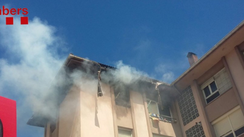 foc