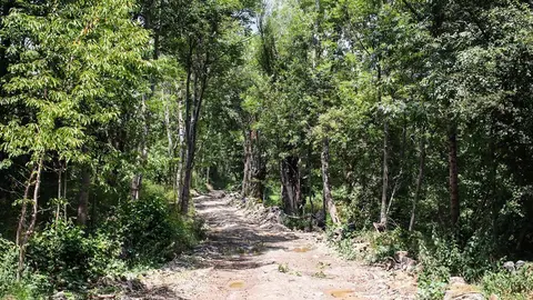 camí d'iravals01