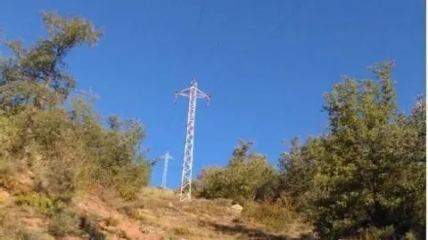 foto_3271760