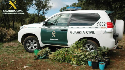 guardia civil 