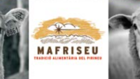 mafri