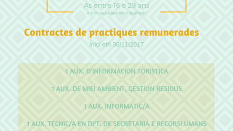 Garantia Juvenil(1)