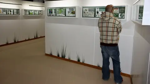 Museu de les papallones de Pujalt