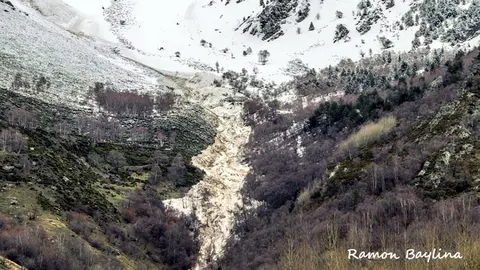 foto_3335359