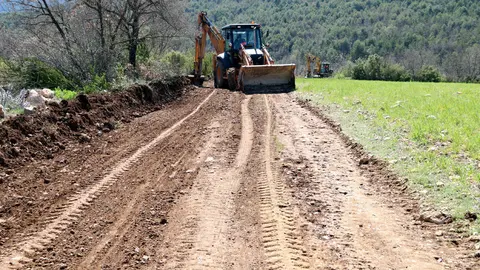 PISTA FORESTAL