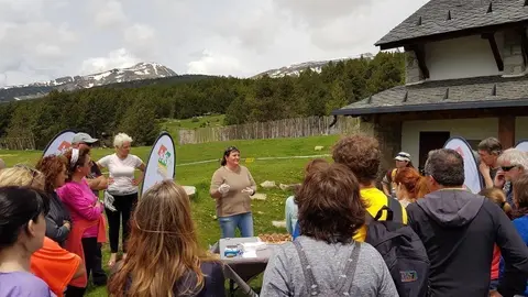 cerdanya_happy_walking_2018_lles