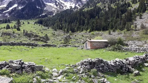 20180531_121002-001
