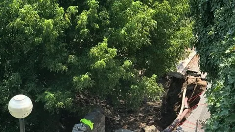 Cam&iacute; de Sota Palau