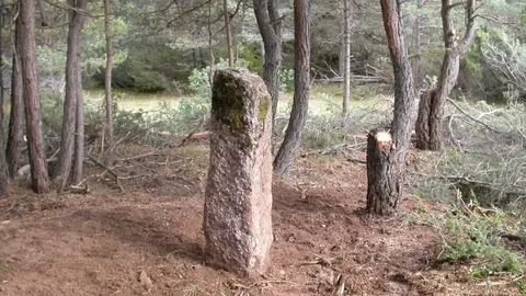 Menhir Sant Mag&iacute;