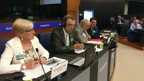 La delegaci&radic;&ge; de l'Acad&radic;&reg;mia Aranesa de la Llengua Occitana durant la seva intervenci&radic;&ge; al l'Integrup de Minories del Parlament Europeu, a Estrasburg, el 13 de setembre (horitzontal)