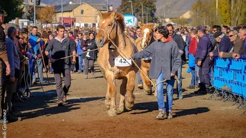 Fira de Puigcerdà 2018