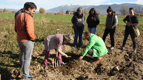 Pla general d'una visita a un camp de naps situat als afores de Puigcerd&radic;&dagger;, en el marc d'una jornada t&radic;&reg;cnica celebrada a Ger el 14 de novembre de 2018 (Horitzontal).