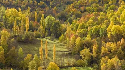 Parc Natural de l'Alt Pirineu