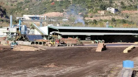 Pla general del pati de la serradora Boix, la m&radic;&copy;s gran de Catalunya, pr&radic;&dagger;cticament desert. Imatge del 28 de novembre del 2018. (Horitzontal)