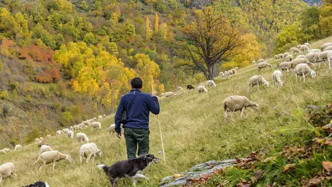 Parc Natural de l'Alt Pirineu