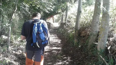 Camins 2