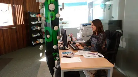 Ocupació jove