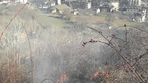 Foc a Sort