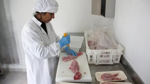 Pla americ&radic;&dagger; de la propiet&radic;&dagger;ria de la granja de conills ecol&radic;&le;gics "Finca Canemar", Isabel Perera, processant la carn al seu obrador del nucli de Bellestar, a Montferrer i Castellb&radic;&le; (Alt Urgell). Imatge del 20 de febrer de 2019 (Horitzontal).