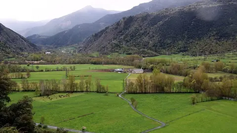 Escalarre