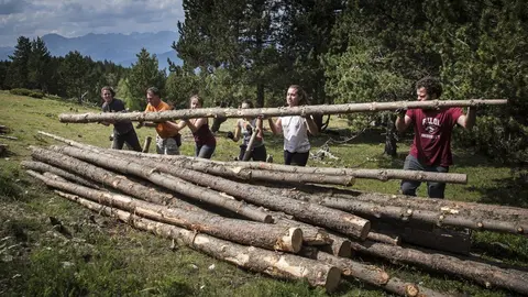 Projecte Boscos de Muntanya (1)