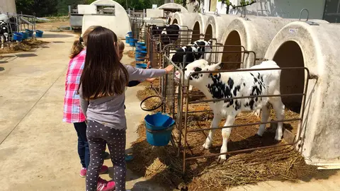Benvingut a Pagès 1