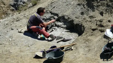 Imatge d'una de les campanyes d'excavaci.. que s'han fet al jaciment del Mol.. del Bar.., a Abella de la Conca. (horitzontal)