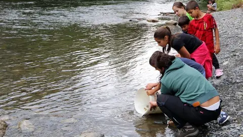 Nens de l'escola de Llavors&iacute; ajuntant a alliberar exemplars del truita al Noguera Pallaresa. Imatge del 21 de juny del 2019. (horitzontal)