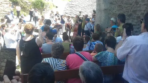 Gall Negre 1