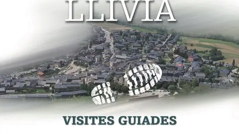 893_DESCOBRIR LLIVIA_cartell_2019