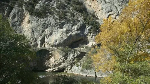 pontarrons (1)