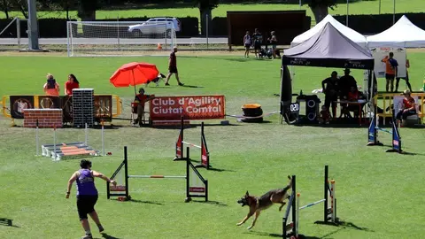 Pla general duna participant competint amb el seu gos a Rialp Summer Agility. Imatge del 8 d'agost del 2019. (horitzontal)