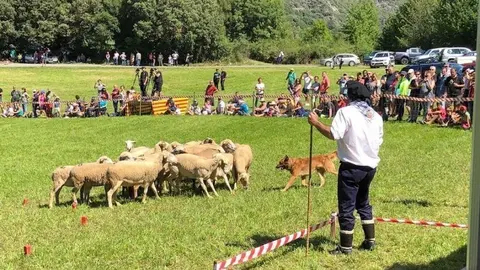  Llavorsí Ajuntament