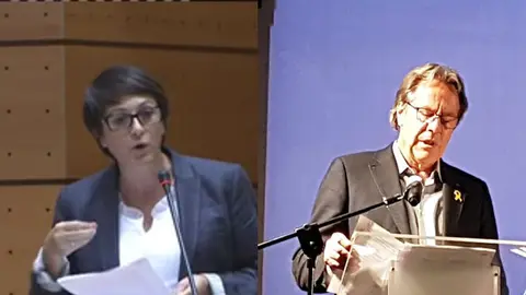 Miquel Caminal senador 7