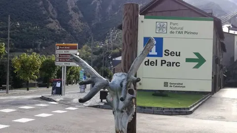 dav