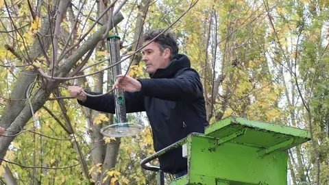 Jordi Dalmau