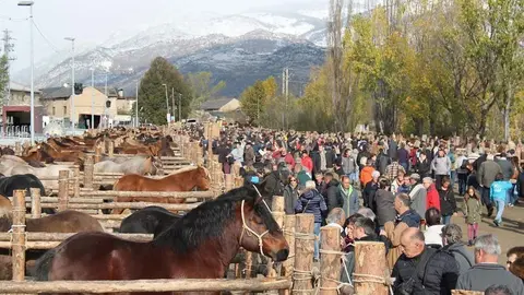 Fira Puigcerdà 2