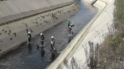 Pla general on es veu diversos t&radic;&reg;cnics a dins el canal de Gavet duent a terme el rescat de truites. Imatge facilitada per Endesa el 15 de novembre de 2019 (Horitzontal).