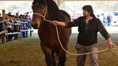 Xavier Berdié pr premi Concurs cavall pirinenc Puigcerdà