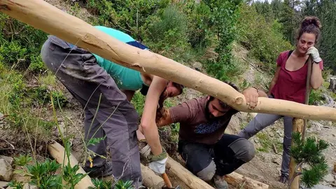 Projecte Boscos de Muntanya - 2