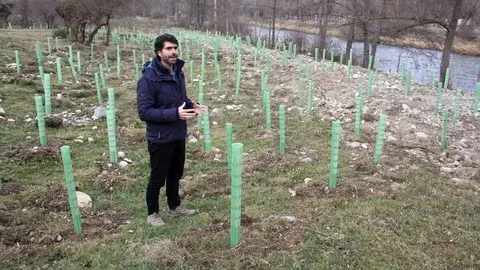 Pla general on es veu al responsable del projecte Life Alnus per part de la Fundaci&radic;&ge; Catalunya &sbquo;&Auml;&igrave; La Pedrera, Josep Fabra, mostrant part de la plantaci&radic;&ge; d'arbres que s'ha fet a la zona de les Basses de Galliss&radic;&dagger;, el 22 de novembre de 2019 (Horitzontal).