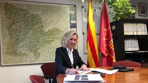 Rosa Amorós despatx