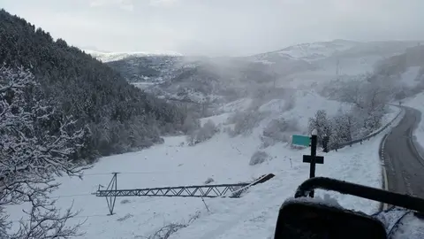 Pla de detall d'una torre caiguda a la zona de la vall de la Vansa a causa del temporal de neu i vent. Imatge facilitada per l'Ajuntament de la Vansa i F&oacute;rnols el 22 de gener de 2020 (Horitzontal).