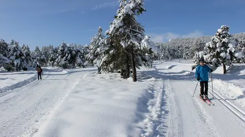 Nordic1